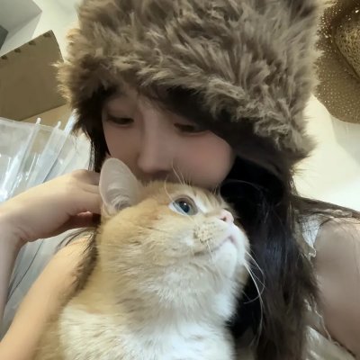 鸟儿们的奇幻冒险